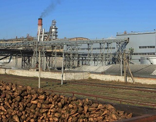 «Юкрейніан Шугар Компані» збільшує потужності Засільського цукрового заводу